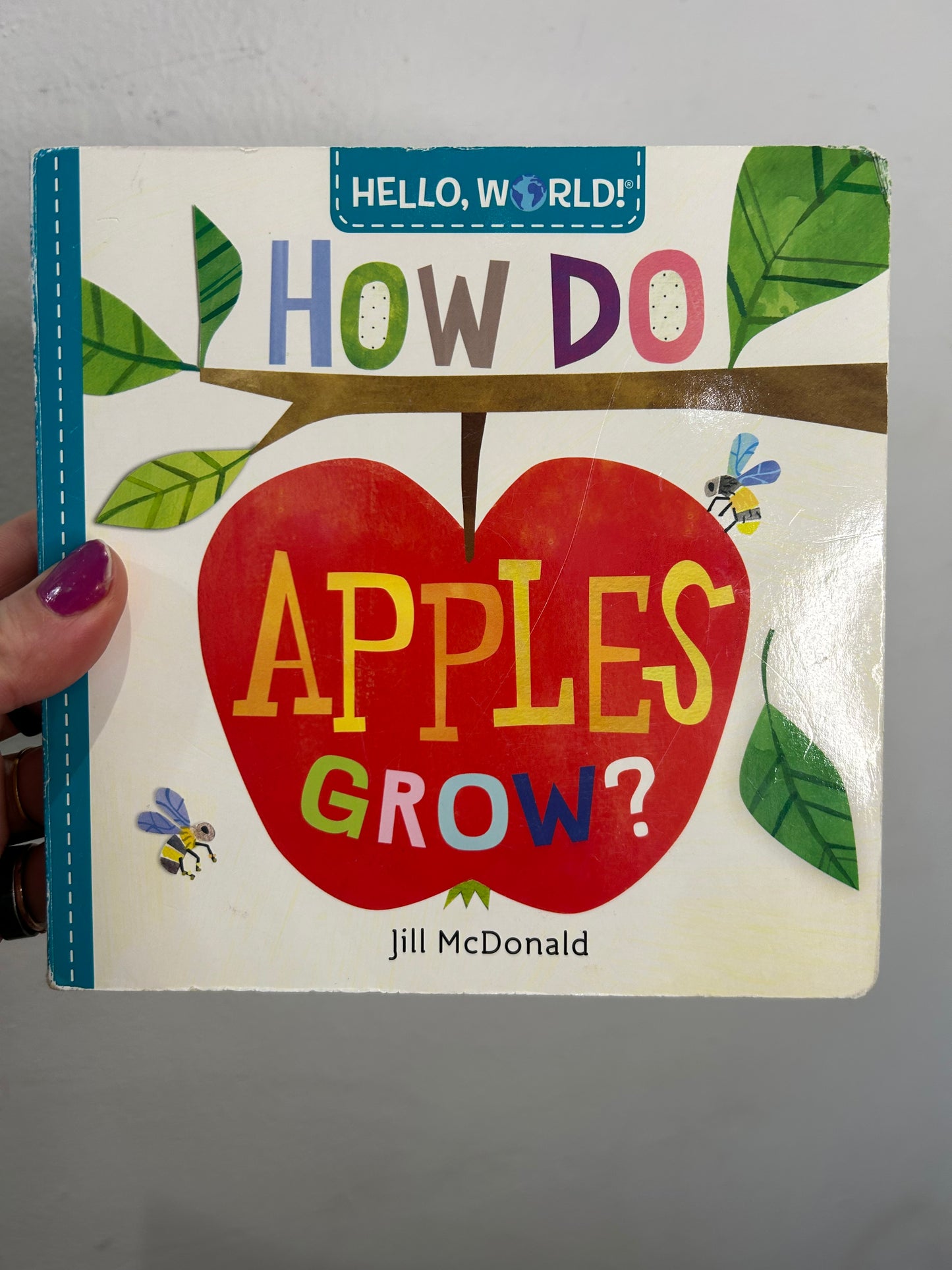 How do apples grow