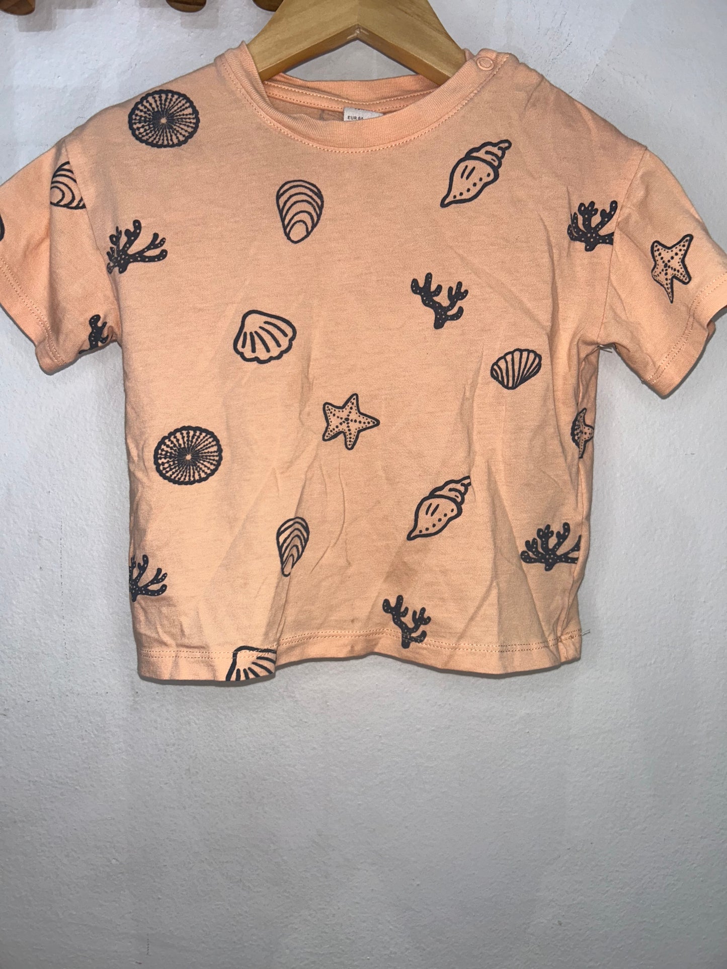 Seashells tee 12-18m