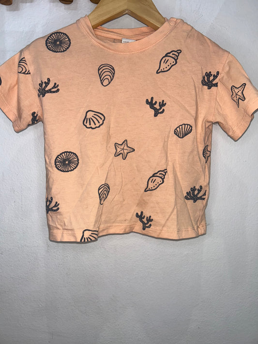 Seashells tee 12-18m