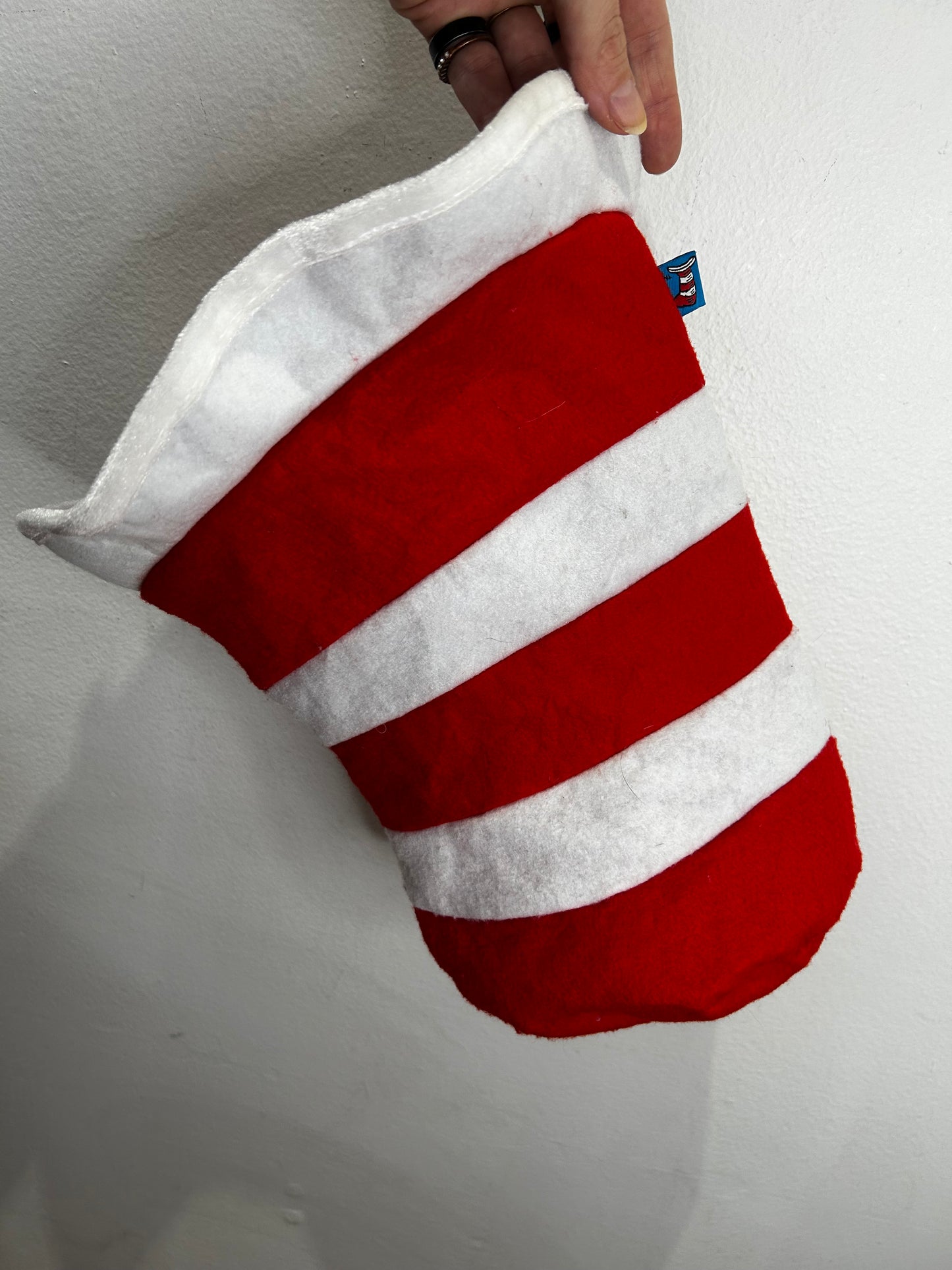 Cat in the hat hat