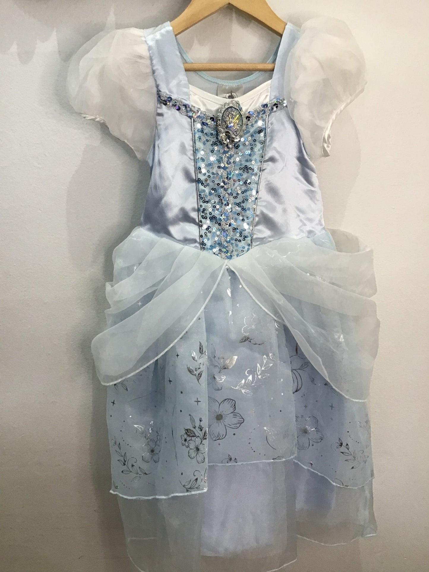 Cinderalla costume dress 4y