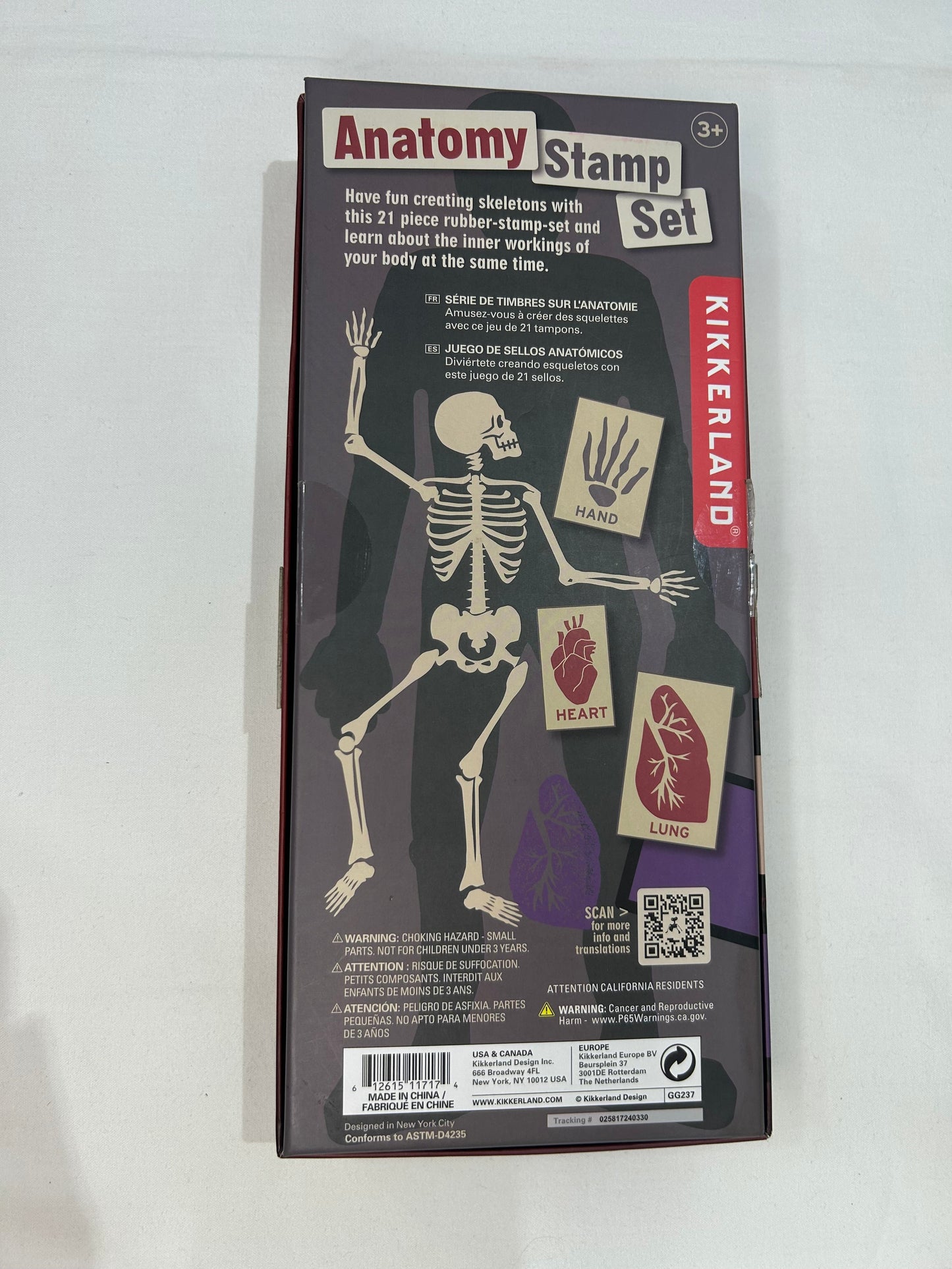 Anatomy stamp set