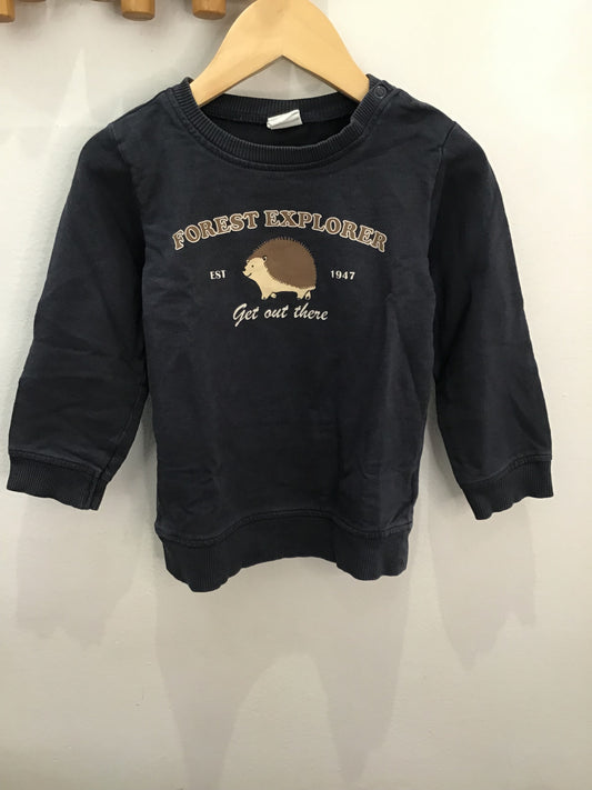 Pullover forest explorer 18-24m