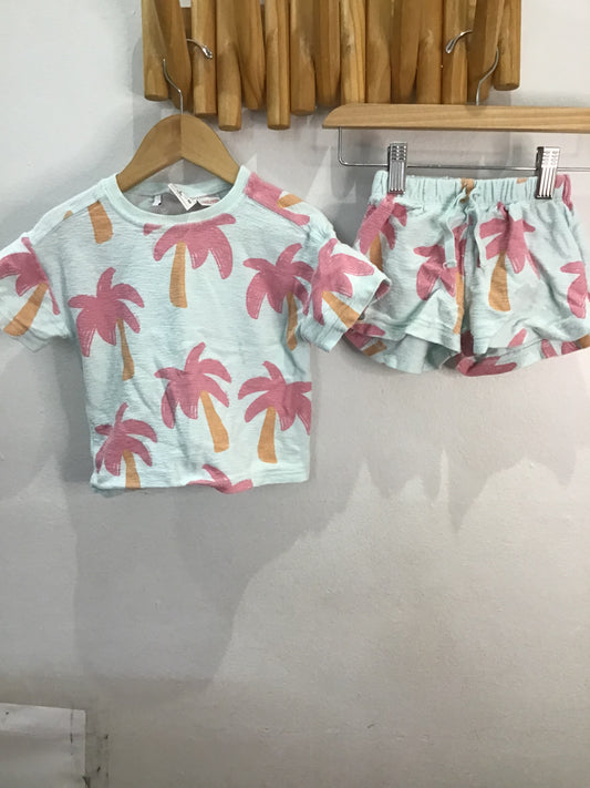 Set pink palm 2y